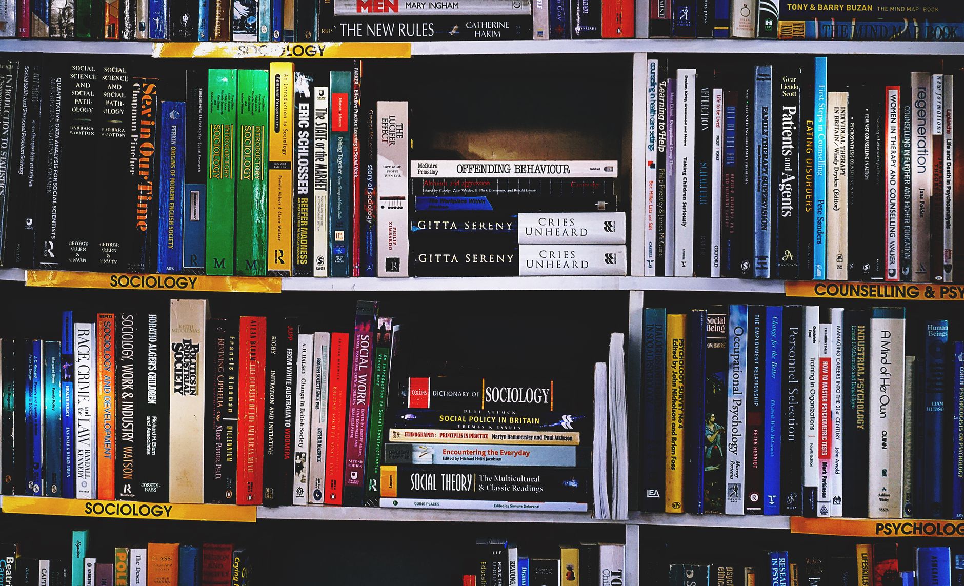 higher education counselling